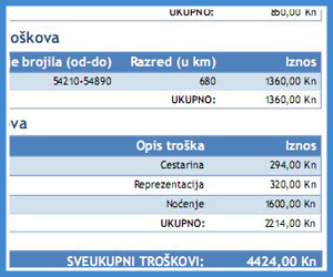 Primjer putnog naloga3